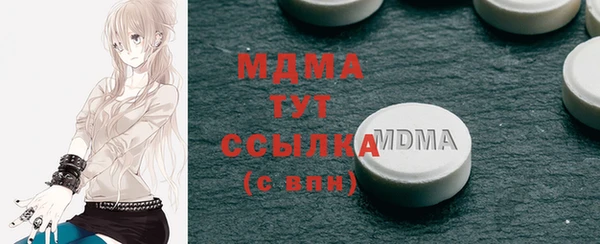 гашик Алексин